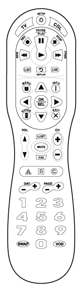 IPTV Standard Remote